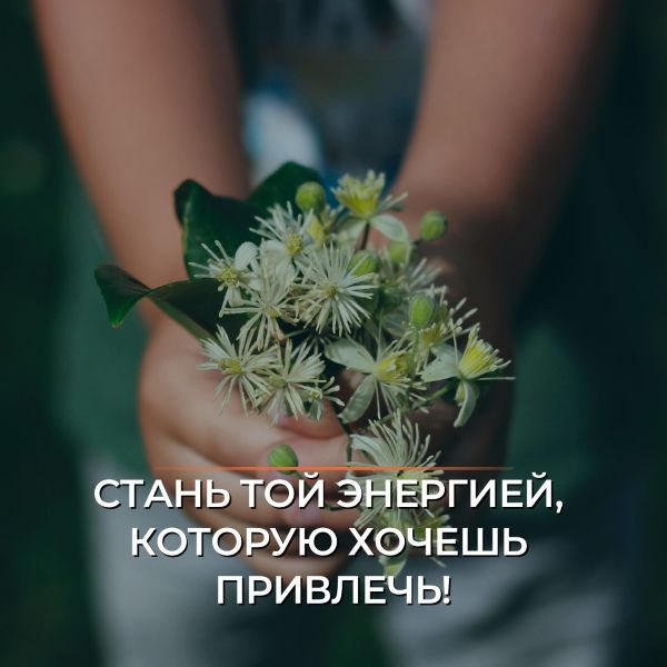 [disha greshnova] Будь той энергией, которую хочешь привлечь (2023)