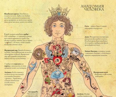[Велимира] Оккультная анатомия. Часть 1 (2023)