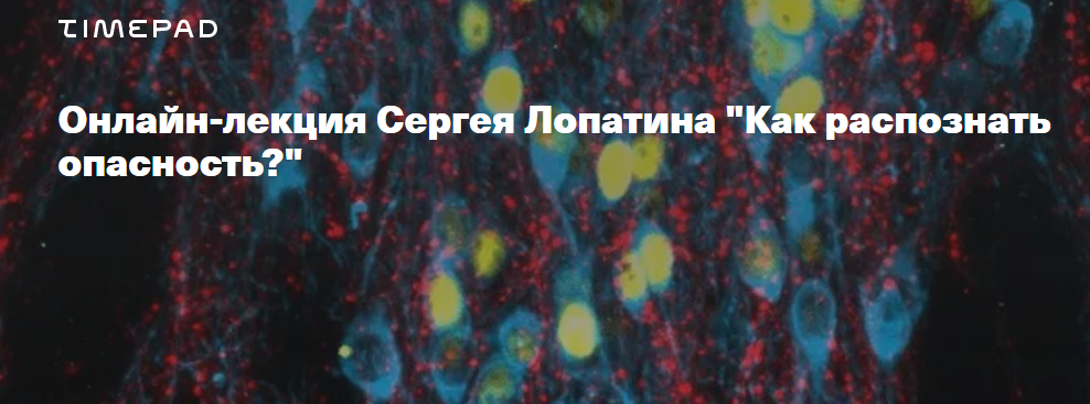 [Timepad] Сергей Лопатин ― Биология стресса. Лекция 1: Как распознать опасность? (2024)