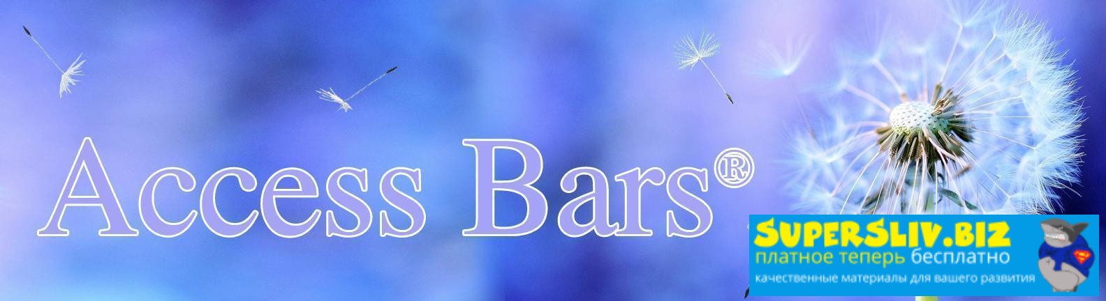 [Access consciousness] Гэри Даглас, Дейн Хиир ― Видео-инструкция и схемы к Access Bars (2023)