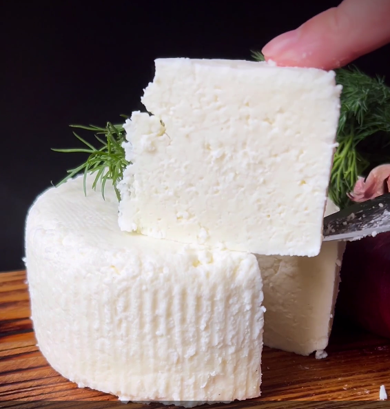 [СыроварКрым] Начинающие (2025)