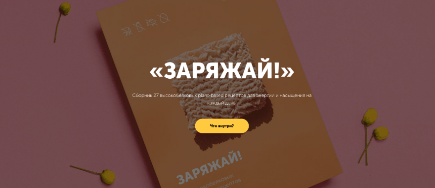 [Настя Лисица] Сборник высокобелковых рецептов «Заряжай!» (2024)