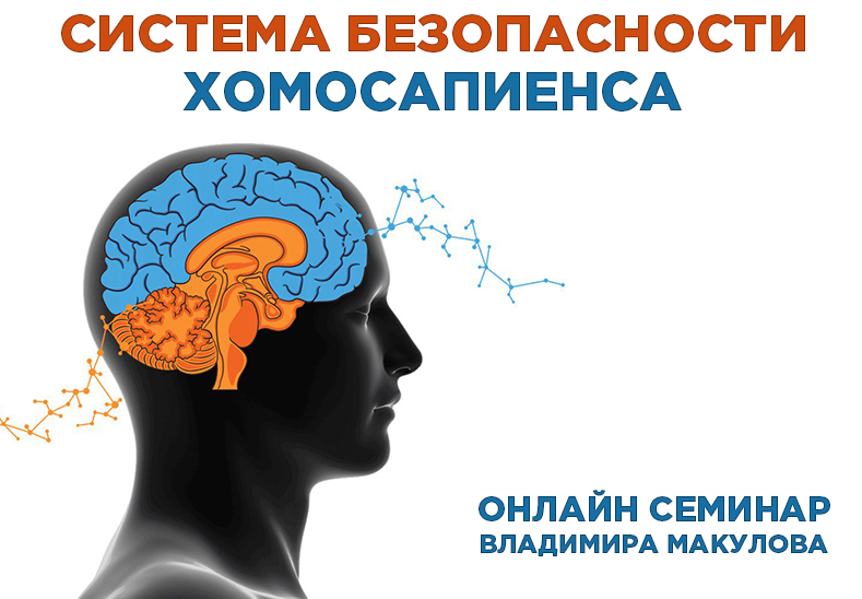 [Владимир Макулов] Система безопасности хомосапиенса (2023)