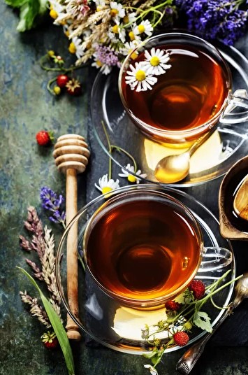 [Ирина Гудаева] Чайные травы и травяные чаи (1.06.2022)