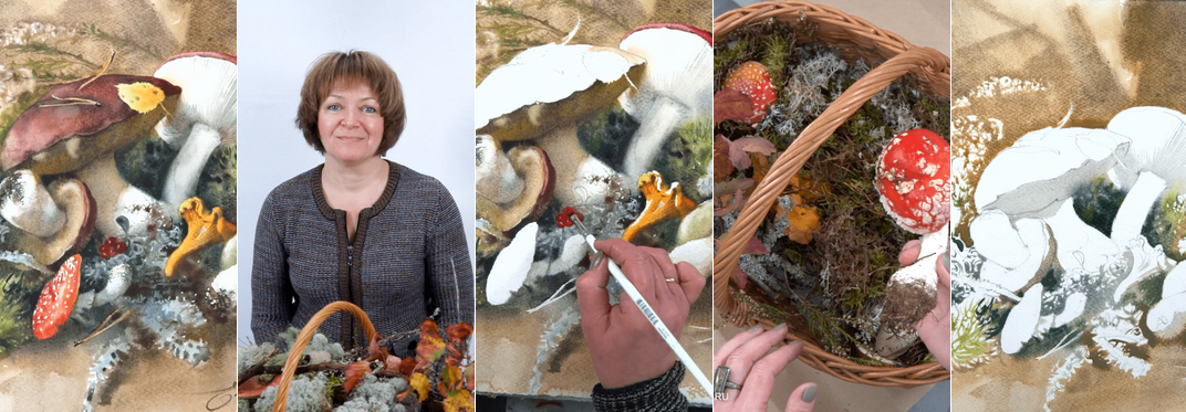 [Елена Базанова] [Lectoroom] Грибы акварелью (2023)