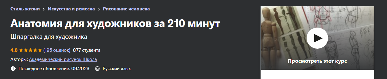 [Udemy] Дарья Остапенко-Праведникова - Анатомия для художников за 210 минут (2023)