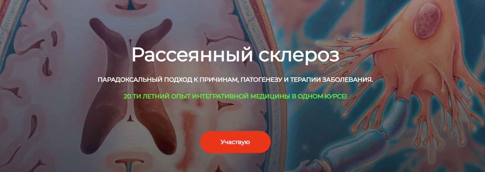 [ДетоксКафа] Игорь Кауфман ― Рассеянный склероз (2024)