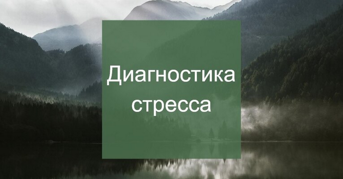 [Елена Суханова] Диагностика стресса (2025)