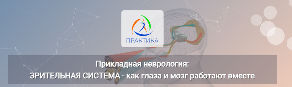 [Мария Недре] Прикладная неврология: Зрительная система - как глаза и мозг работают вместе (2024)
