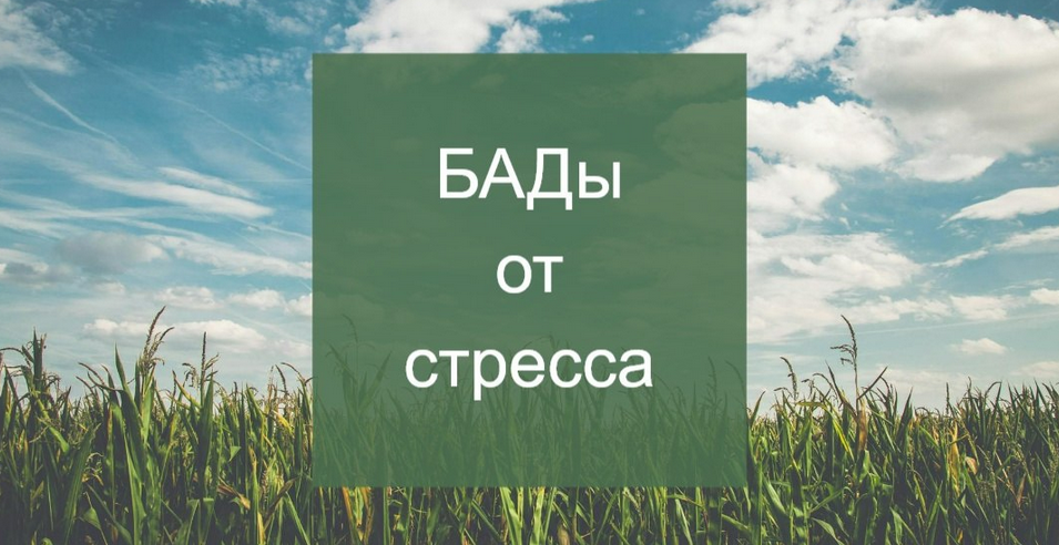 [Елена Суханова] Психокоррекция через нутрицевтики (2024)