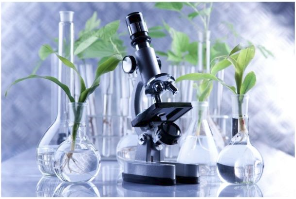 [Анна Павлычева] Гайд «Общий анализ крови: расшифровка» (2022)