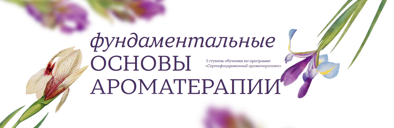 [Джейд Шутс] [Aromatic Studies] Фундаментальные основы ароматерапии. 1 ступень (2024)