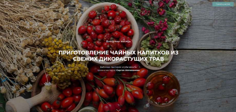 [Сергей Апполонов] Приготовление чайных напитков из свежих дикорастущих трав (2024)