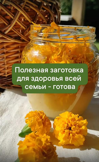 [Разнотравье] Медовые эликсиры (2024)