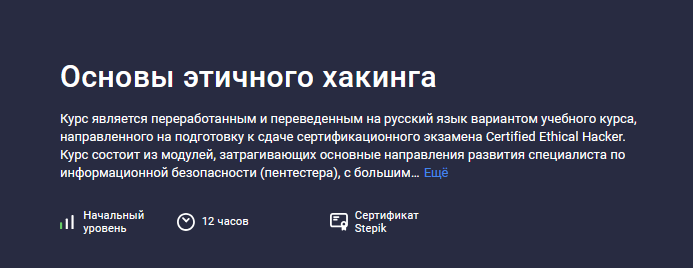 [Александр Чумилин] [Stepik] Основы этичного хакинга (2024)