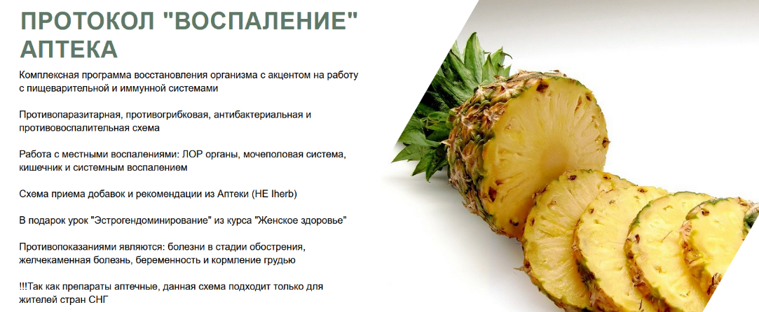 [Светлана Литвиненко] Протокол «Воспаление Аптека» (2024)