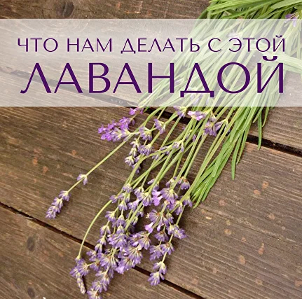 [Анна Зворыкина] [Парфюмерия] Ингредиенты: что нам делать с этой лавандой? (2024)