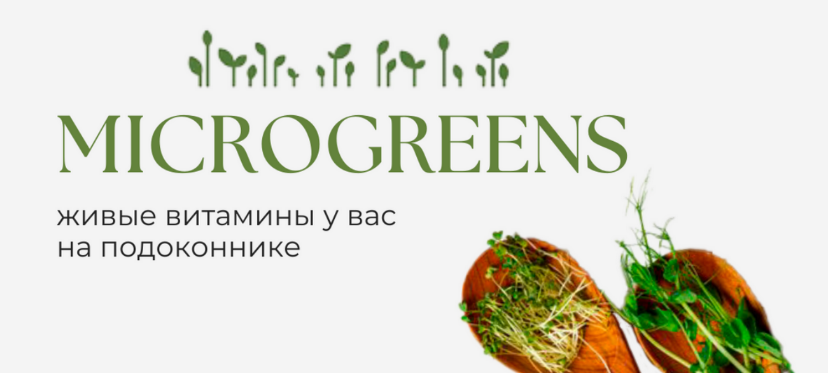 [Татьяна Иримчук] Учебное пособие по выращиванию микрозелени дома (2024)