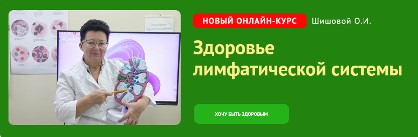 [Ольга Шишова] Здоровье лимфатической системы (2023)