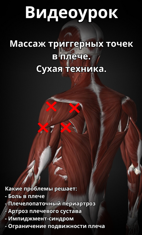 [Артём Пак] Массаж триггерных точек в плече (2024)