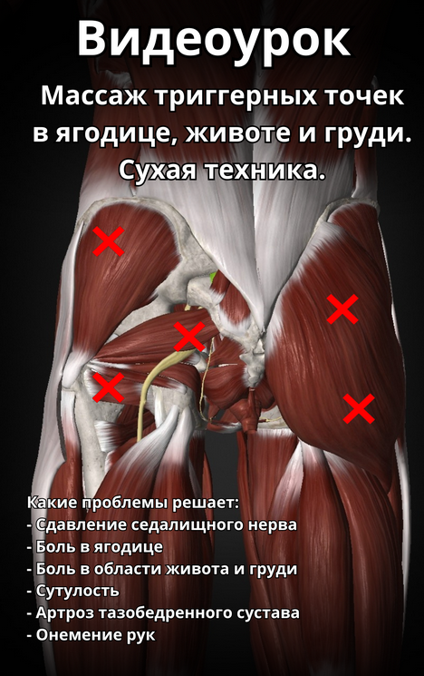 [Артем Пак] Массаж триггерных точек в ягодице, животе и груди (2024)