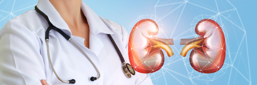 [Валерий Подрубаев] [humberto 2.0] Мочекаменная болезнь (2024)