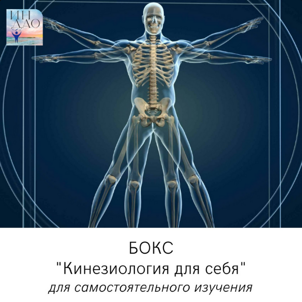 [Сергей Матюшкин] Бокс "Кинезиология для себя" (2023)