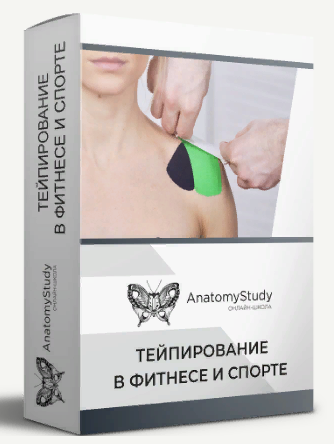 [Анатомия] Андрей Богатырев - Тейпирование в фитнесе и спорте для фитнес-тренера (2022)