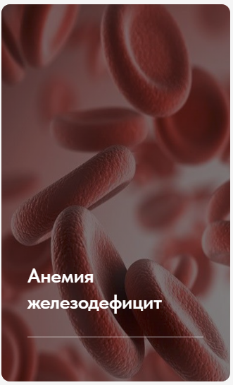 [Елена Ержанова] Лечебный протокол «Анемия железодефицит» (2023)