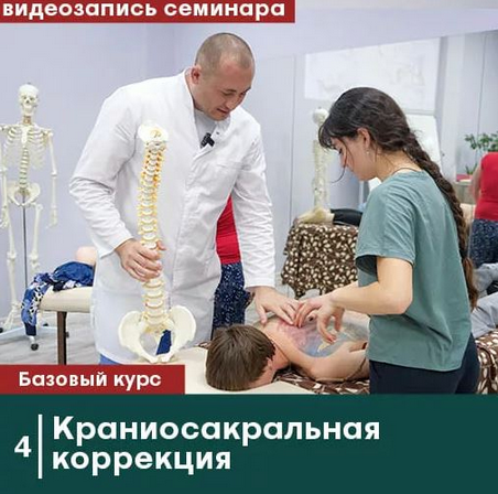 [Антон Циванюк, Михаил Белюк] [Сандал] Краниосакральная коррекция. Без сертификата (2023)