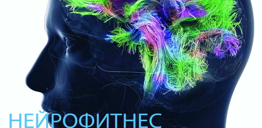 [Антон Шапочка] Нейрофитнес. Основы. Восстанавливаем тело и нервную систему (2023)