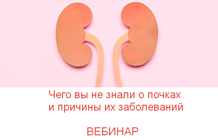 [Валерий Подрубаев] [humberto 2.0] Чего вы не знали о почках и причины их заболеваний (2023)