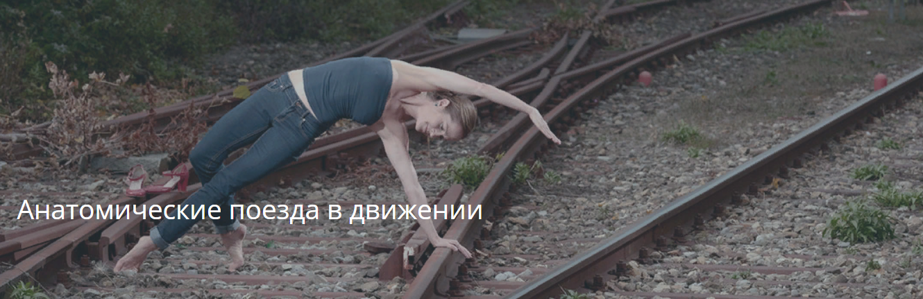 [Artofmotion] Анатомические поезда в движении (2023)