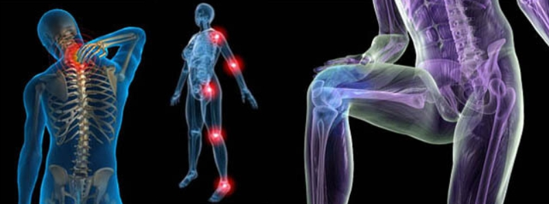 [Ульвия Голденбрук] [Центр Шерома] Всё о здоровых суставах и здоровом связочном аппарате (2023)