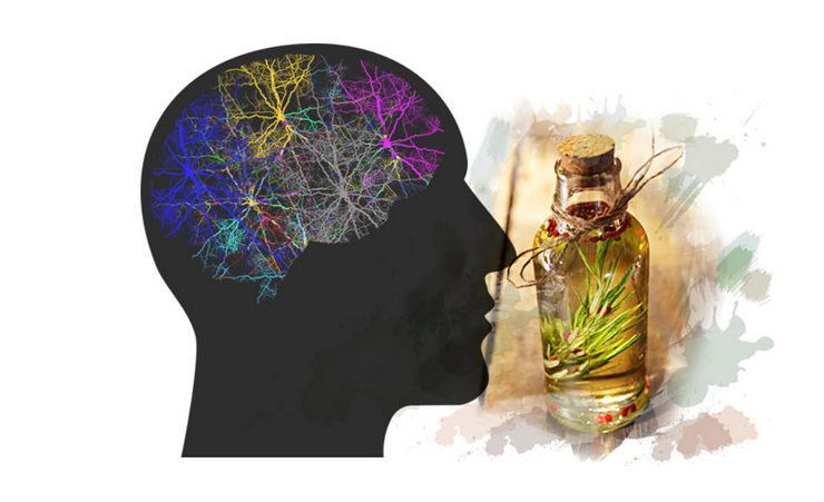 [Ульвия Голденбрук] Как выйти из сети пассивного режима мозга с помощью Ароматерапии (2023)