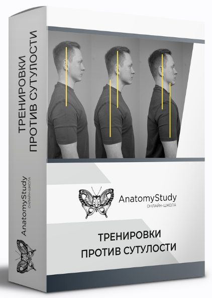 [Александр Семенов][AnatomyStudy] Тренировки против сутулости. Диагностика и коррекция осанки (2023)