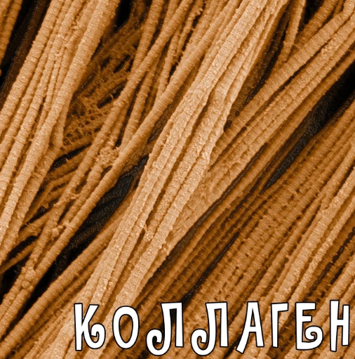 [Валерий Подрубаев] Коллаген от А до Я (2023)