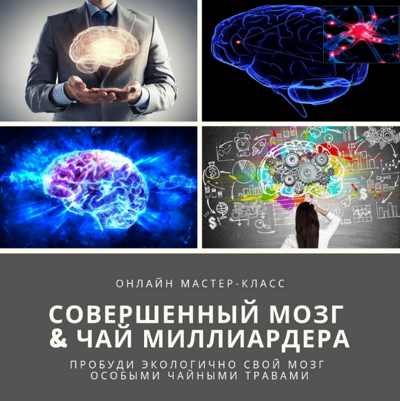 [Юрий Курский] [Мудрость трав Академия фитонутрициологии] Совершенный мозг & Чай миллиардера (2023)