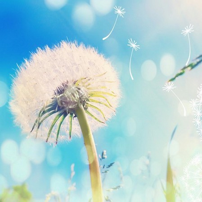 [Дарья Масловская] Как отрабатывать диалоги на английском (2024)