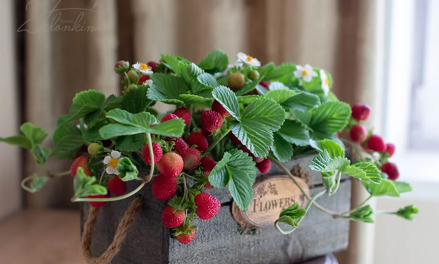 [Наталья Желонкина] Клубника из холодного фарфора (2022)