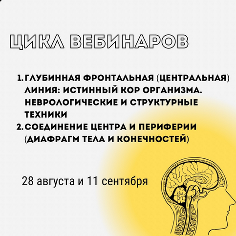 [Александр Волоткевич] Соединение центра и периферии: диафрагм тела и конечностей (2025)