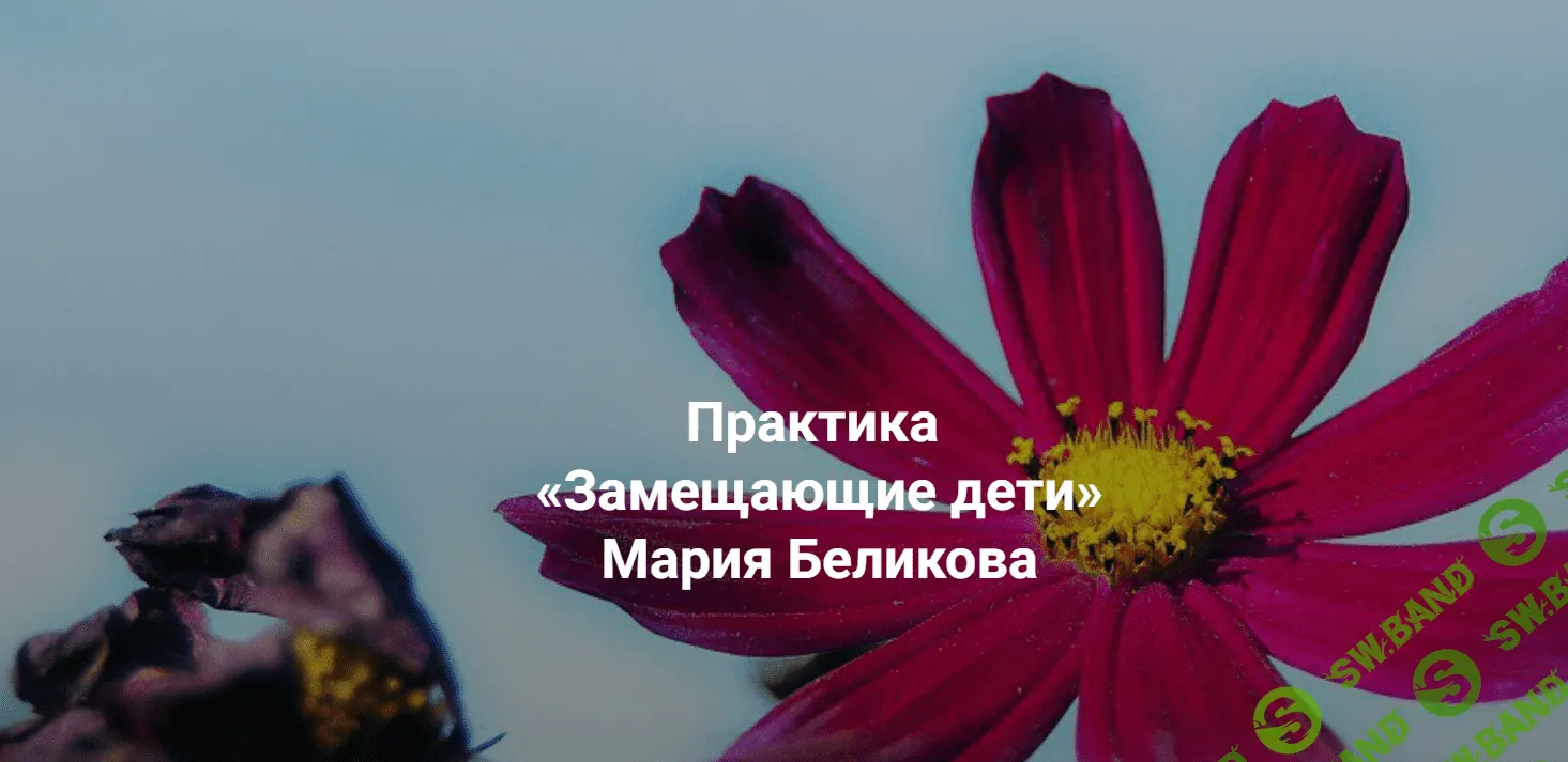 [Институт открытого поля] Папа, я не твоя жена (2023)