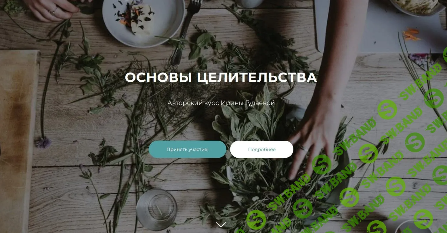 [Ирина Гудаева] Основы целительства (2022)