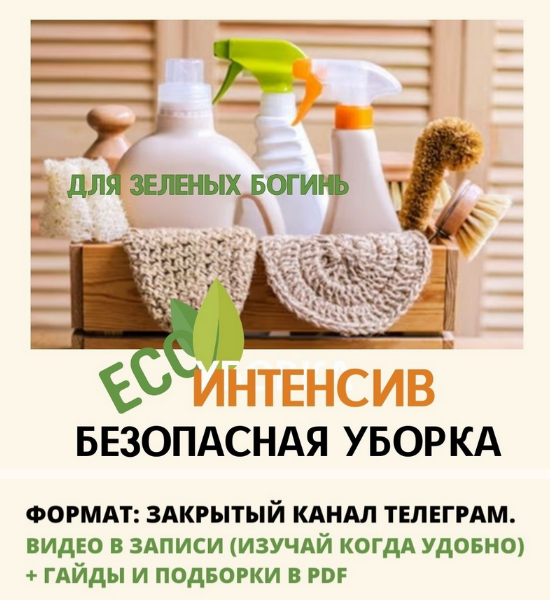 [Екатерина Кудерцева] Безопасная уборка (2024)