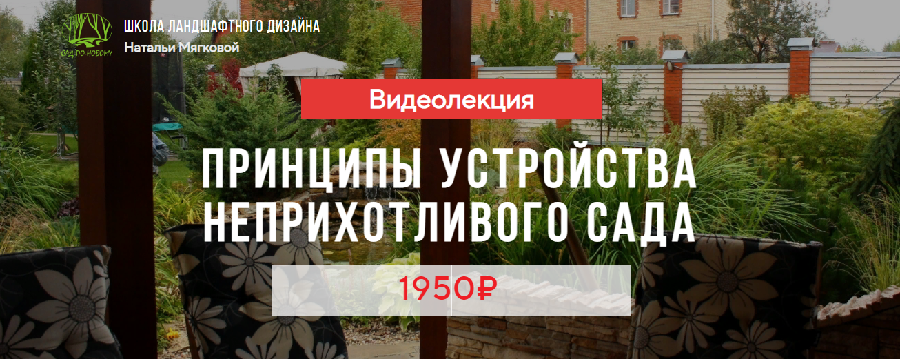 [Наталья Мягкова] Принципы устройства неприхотливого сада (2023)