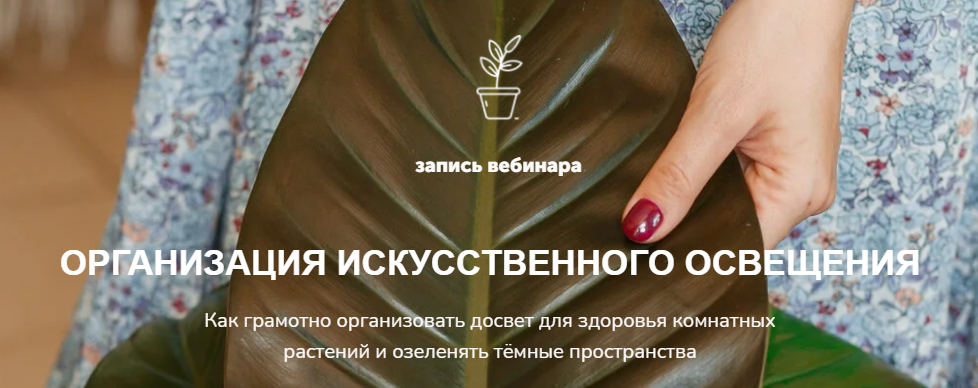 [Наталья Серова] Организация искусственного освещения (2022)