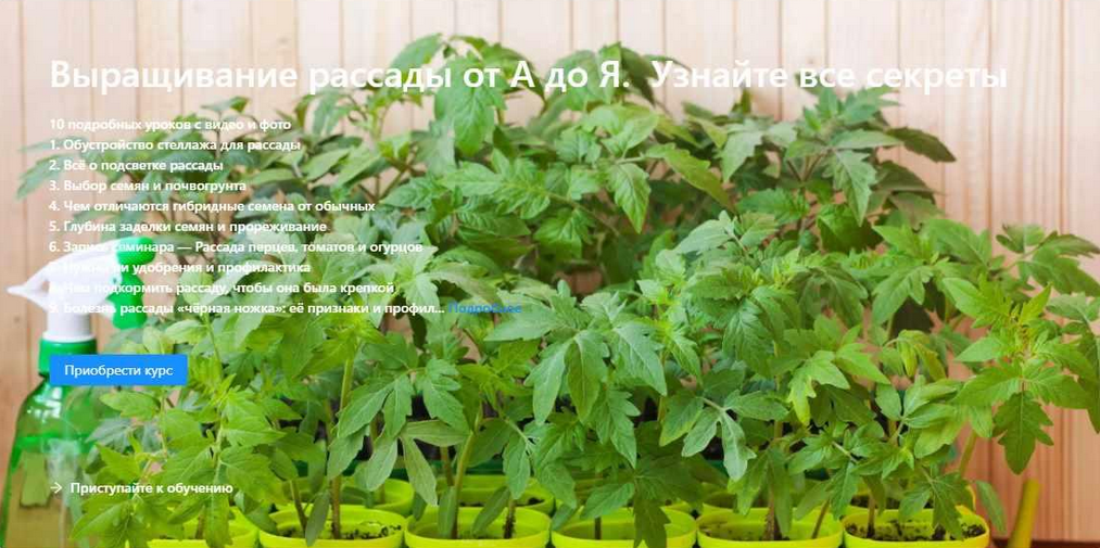 [Онлайн АгроЭкоШкола Садоводов] Выращивание рассады от А до Я. Узнайте все секреты (2023)