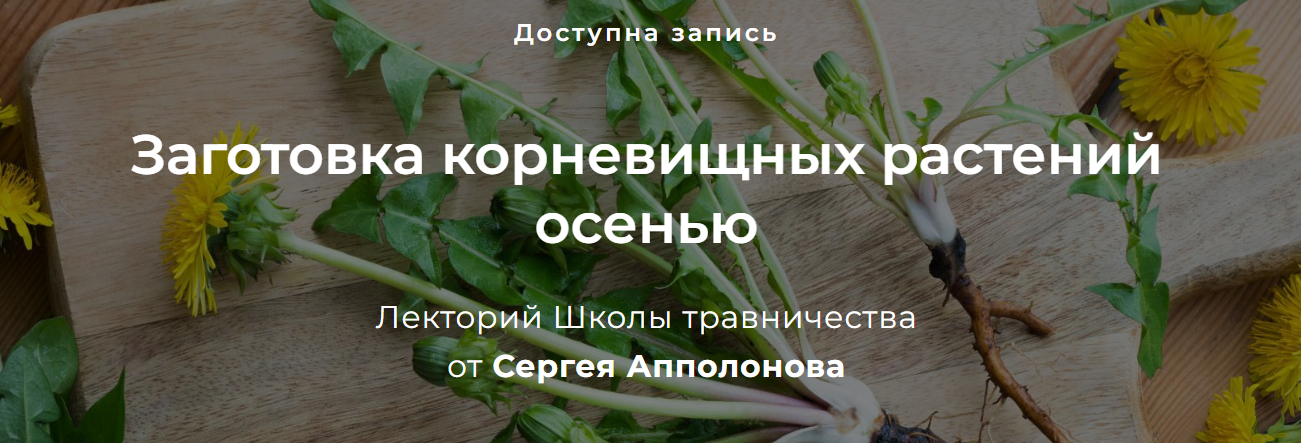 [Сергей Апполонов] Заготовка корневищных растений осенью (2023)