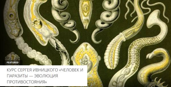 [Архэ] Сергей Ивницкий -Человек и паразиты — эволюция противостояния. Эволюция паразитизма (2023)