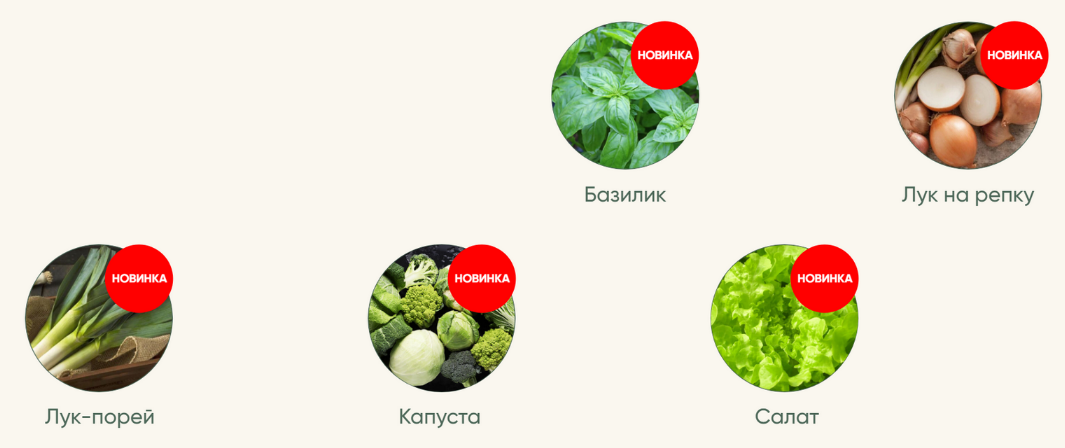 [Анна Акинина] Рассада без досады. Овощная рассада. Новые культуры (2023)